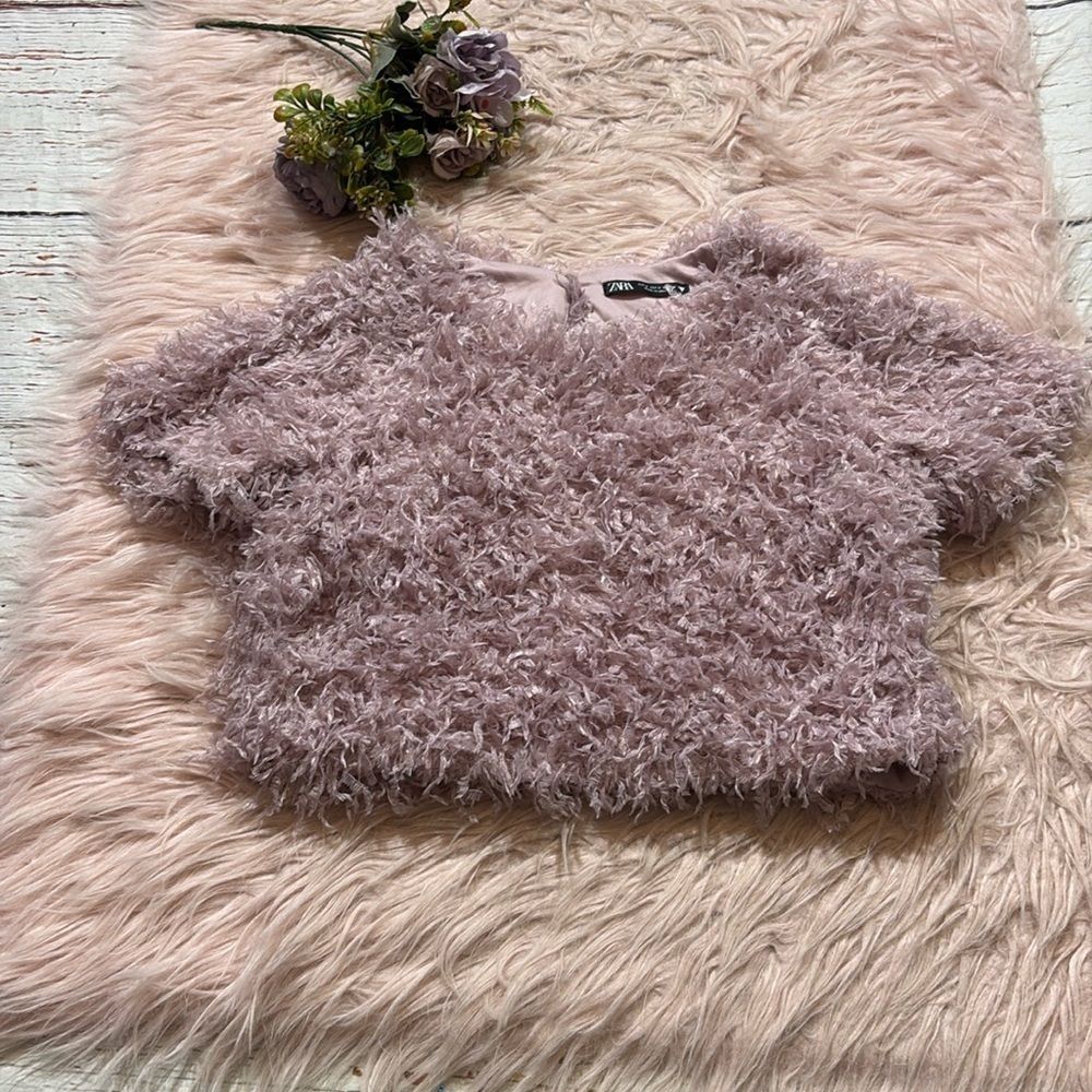 Zara Dusty Rose Feather Crop Short Sleeve Top sz S